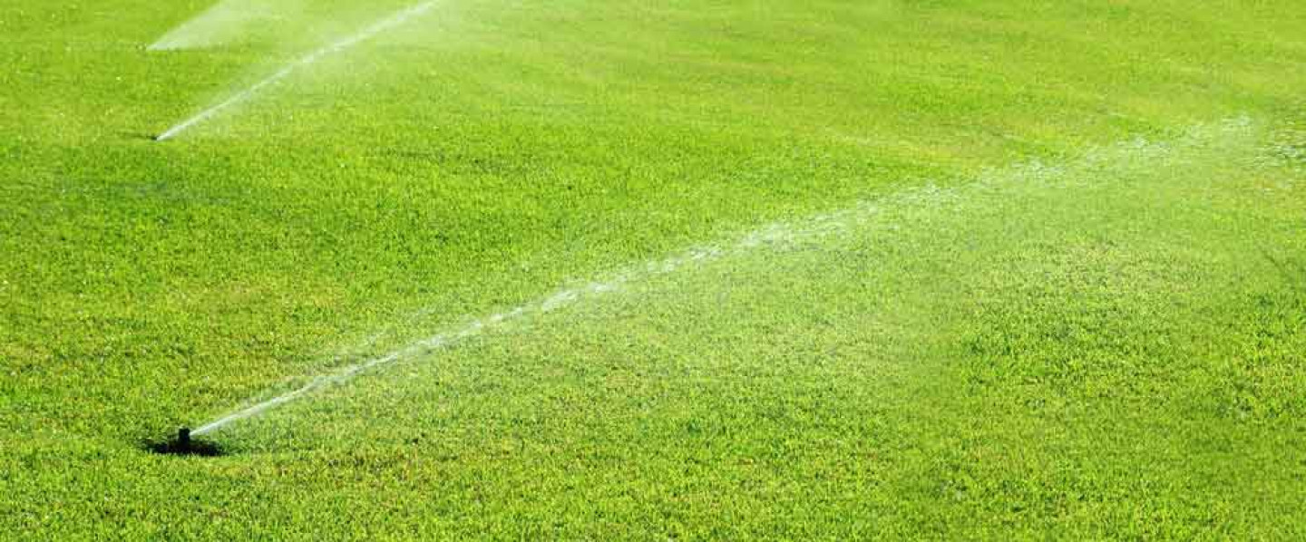 Keep Your Lawn Lush and Green