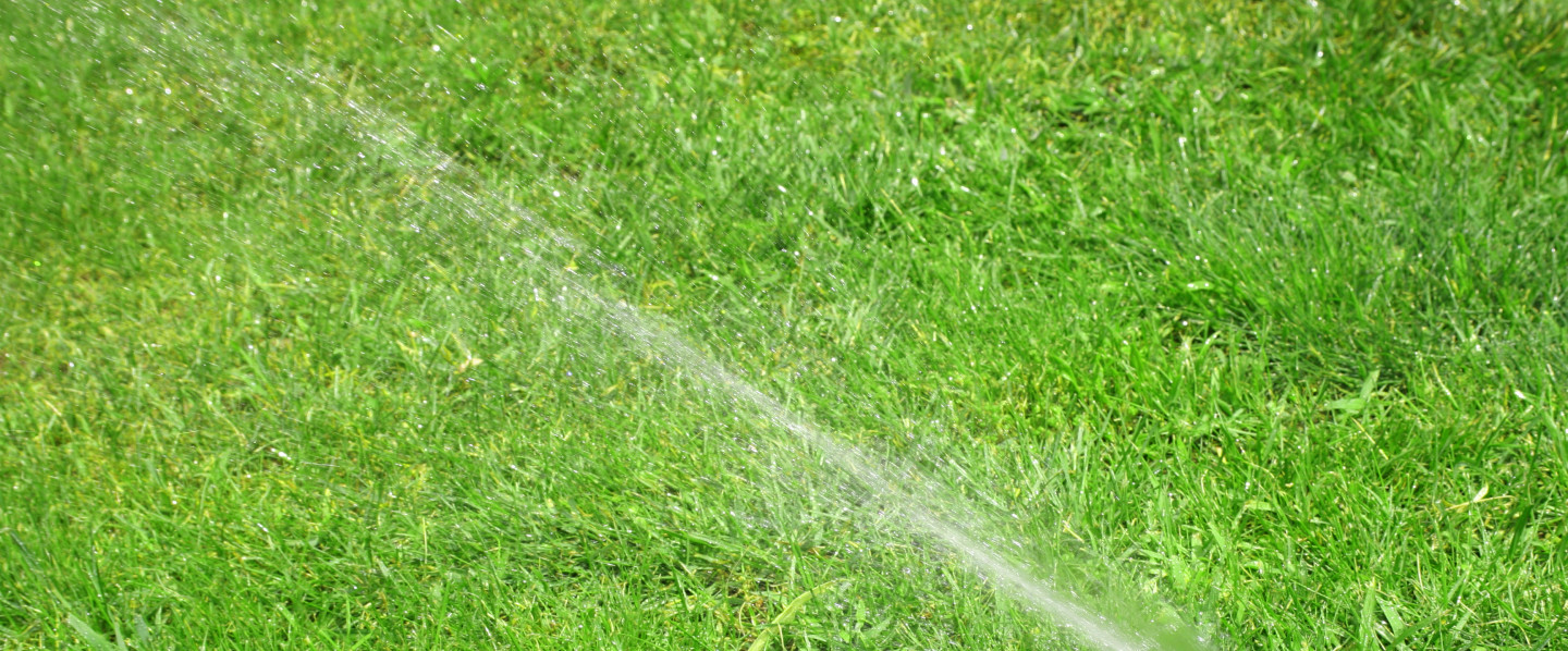 Keep Your Lawn Lush and Green